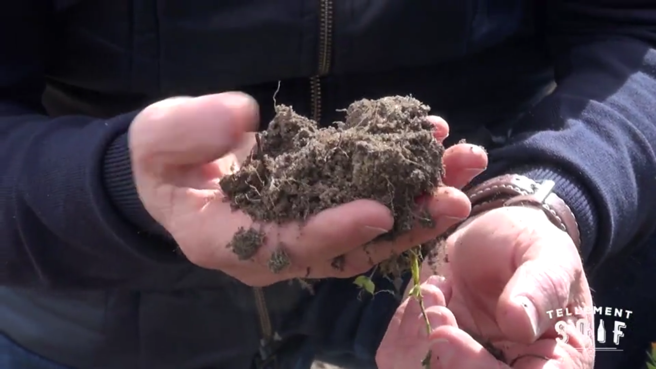 [TRAILER] 20210316_DEGUSTATION_AG_GrandCorbinDespagne_Terroir_1.mp4.smil