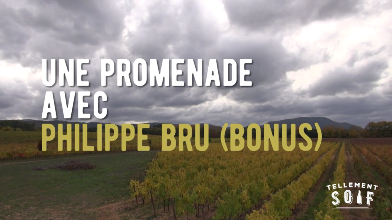[TRAILER] 20201025_RENCONTRE_AG_PhilippeBru_2.mp4.smil