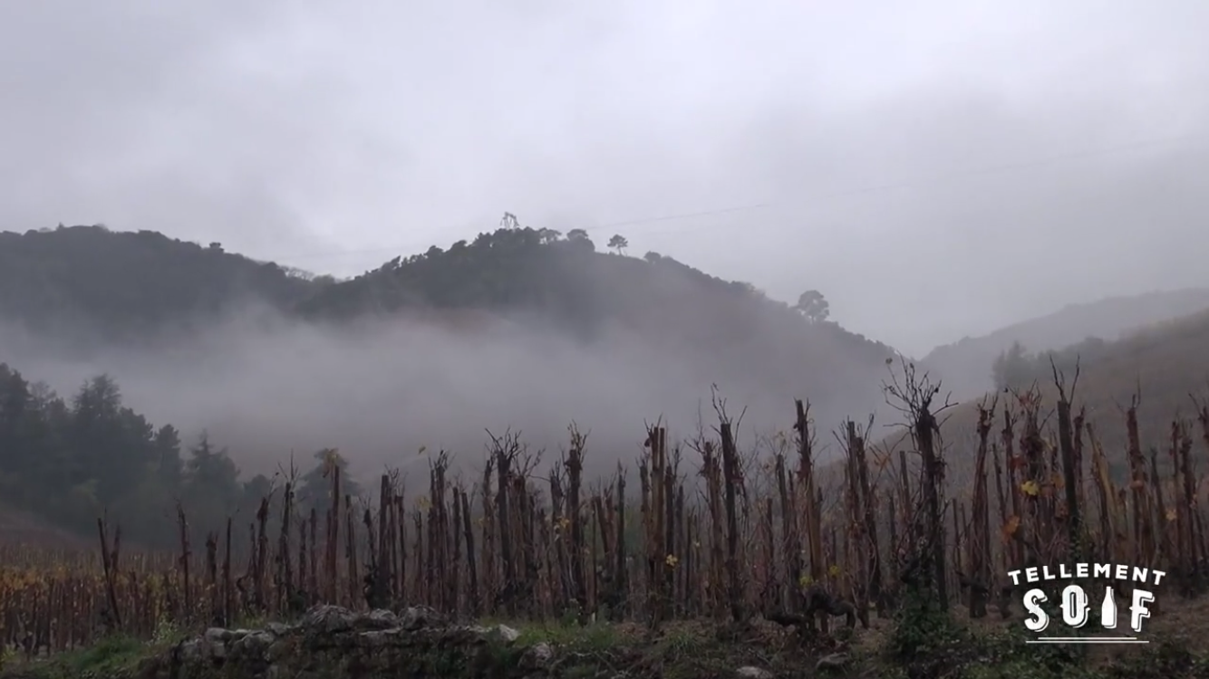 [COMPLET] 20181130_REPORTAGE_AG_Cornas_AlbericMazoyer_1.mp4.smil