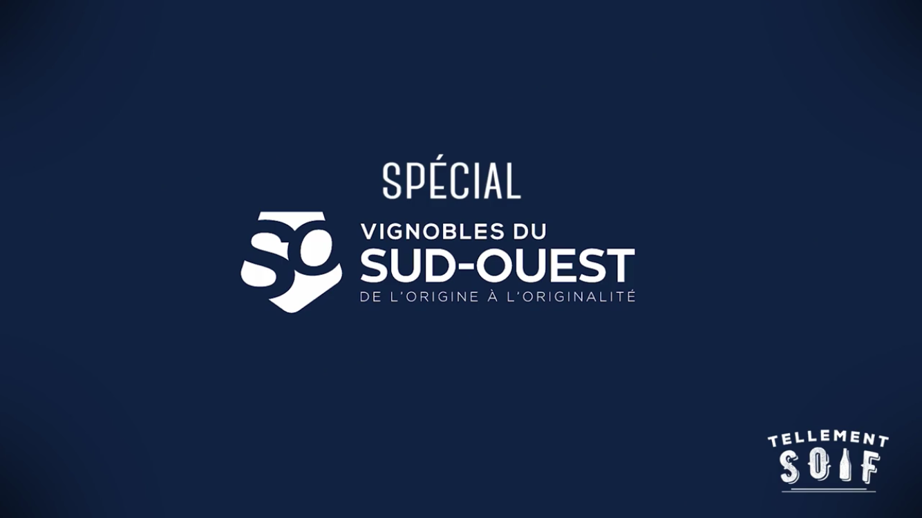 [COMPLET] 20210825_DEGUSTATION_DegustationSud_Ouest_Presentation_V2.mp4.smil