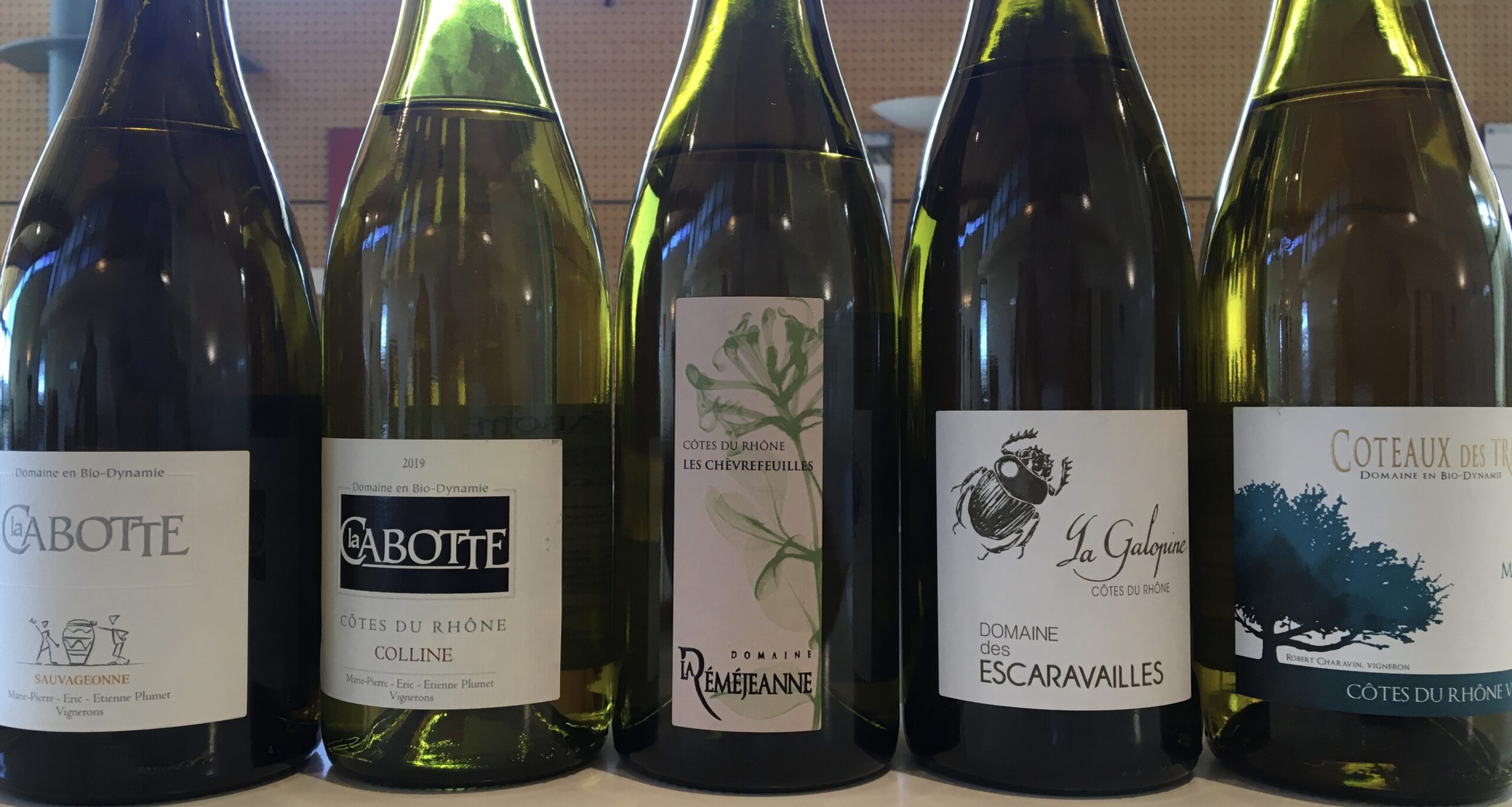 [TRAILER] 20201028_DEGUSTATION_AG_CotesDuRhone2019_LesBios.mp4.smil