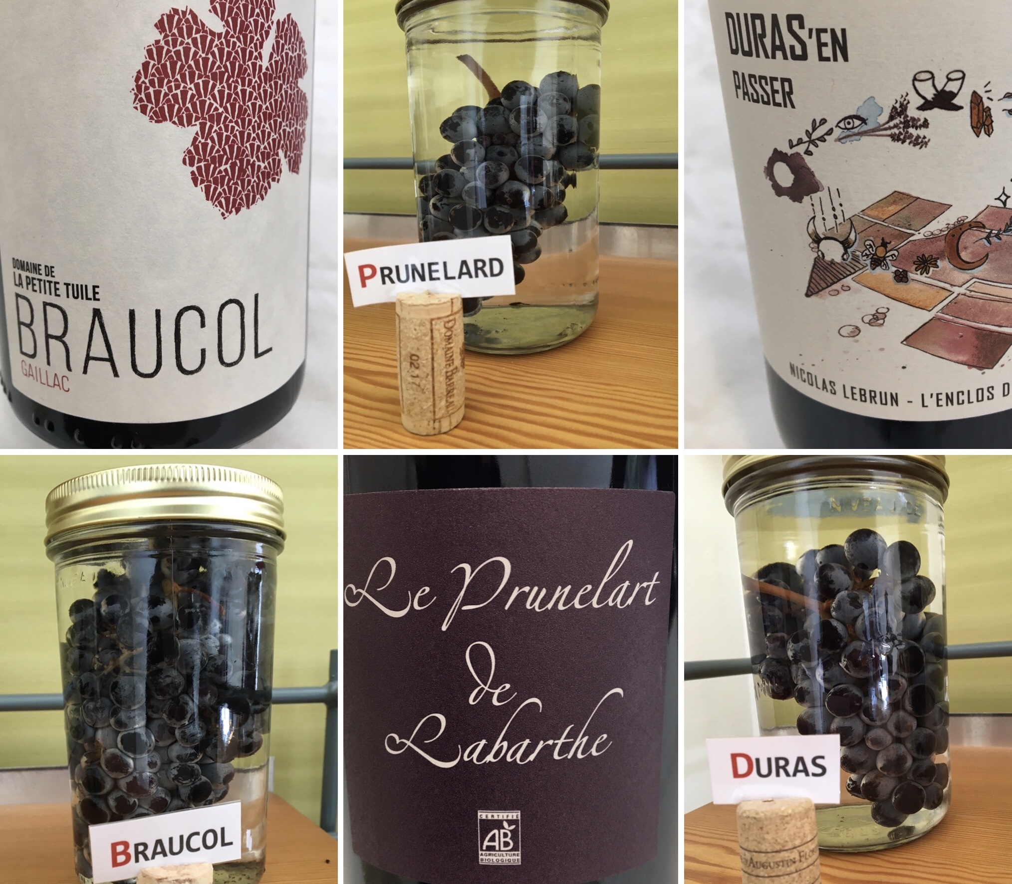 [TRAILER] 20210825_DEGUSTATION_DegustationSud_Ouest_Gaillac.mp4.smil