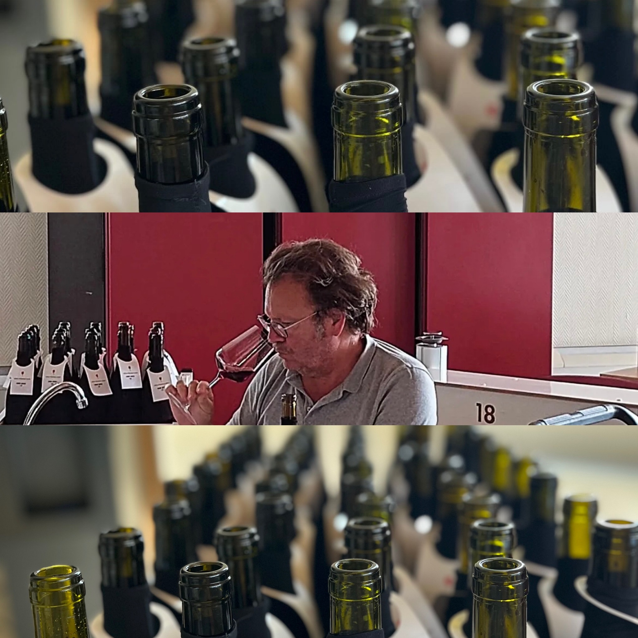 Côtes du Rhone rouges : la fraîcheur par le style