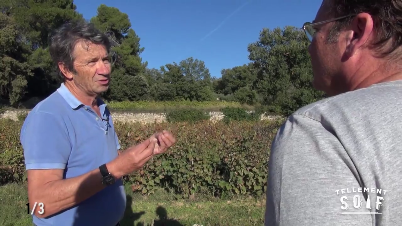 [COMPLET] 20181024_REPORTAGE_AG_DomaineCanorgue_1_V2.mp4.smil