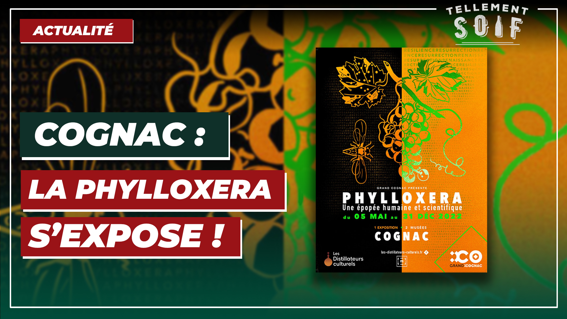[COMPLET] 20220315_EDITO_AG_ExpositonPhylloxera.mp4.smil