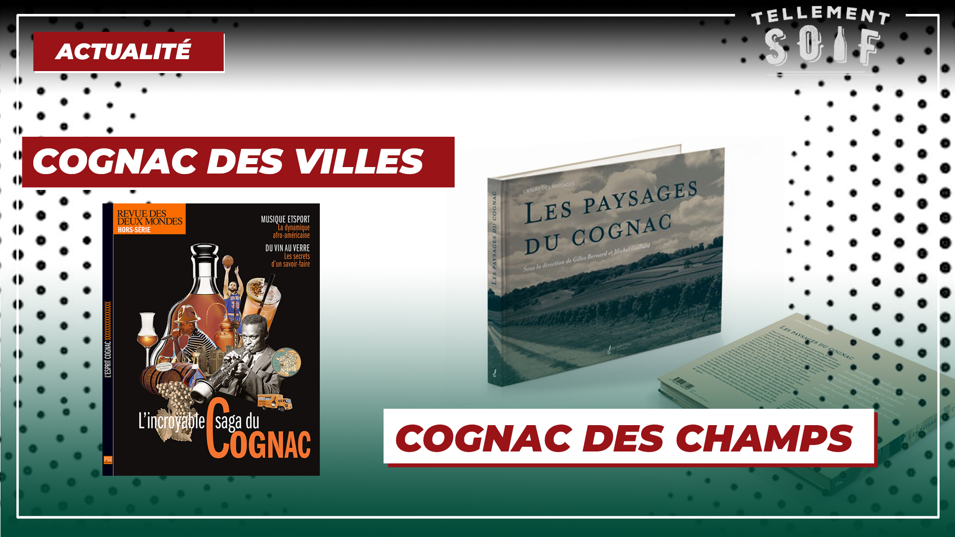 [COMPLET] 20220419_EDITO_AG_2LivresCognac.mp4.smil