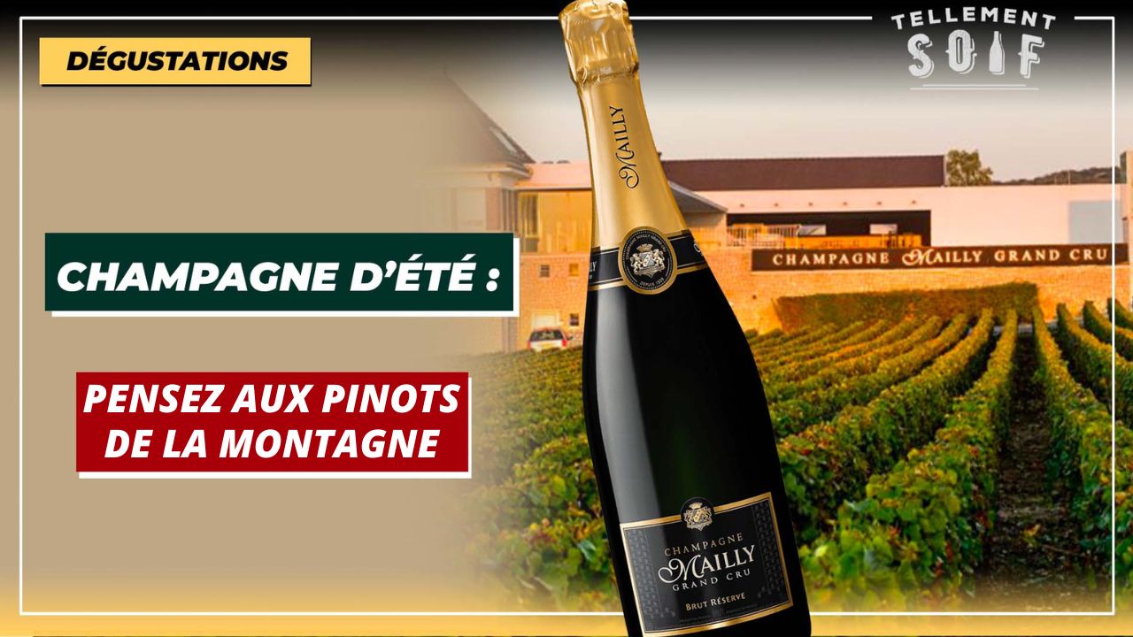 [COMPLET] 20220724_EDITO_AG_Mailly2015.mp4.smil