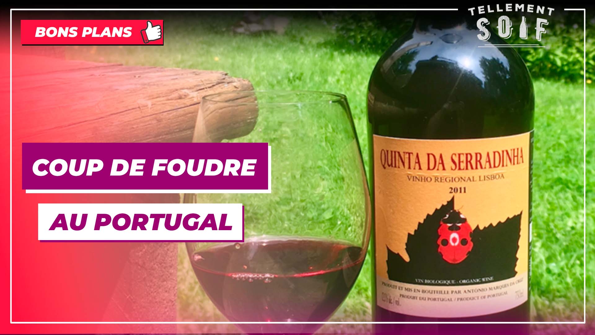 Coup de foudre bio au Portugal