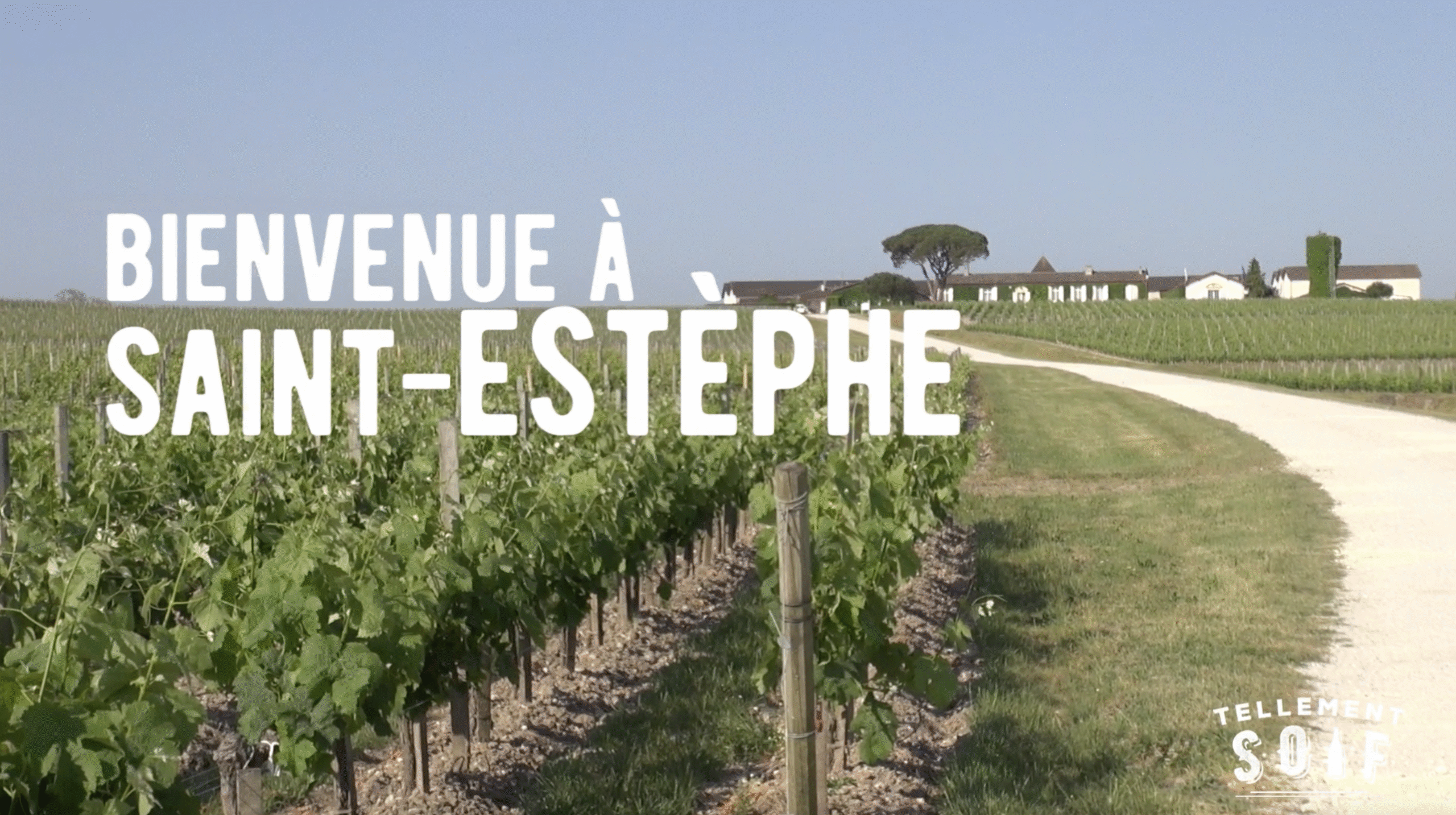 [COMPLET] 20220517_RENCONTRE_AG_ChateauMeyney_AnneLeNaour_5_6MillesimesMeyney.mp4.smil