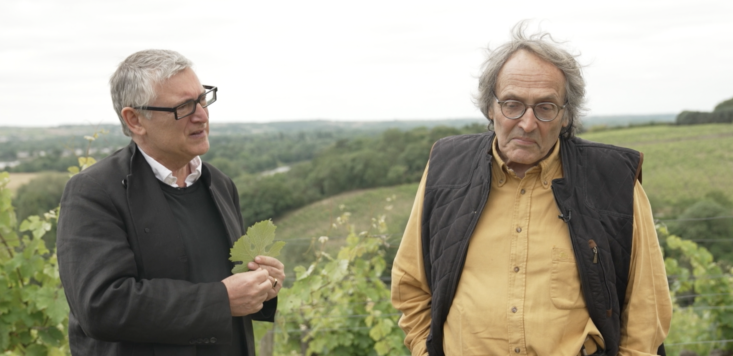 Michel Onfray et Nicolas Joly, rencontre astrale
