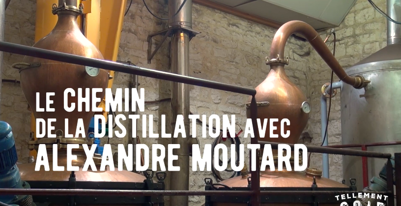 [COMPLET] 20220204_RENCONTRE_AG_AlexandreMoutard_CheminDistillation.mp4.smil