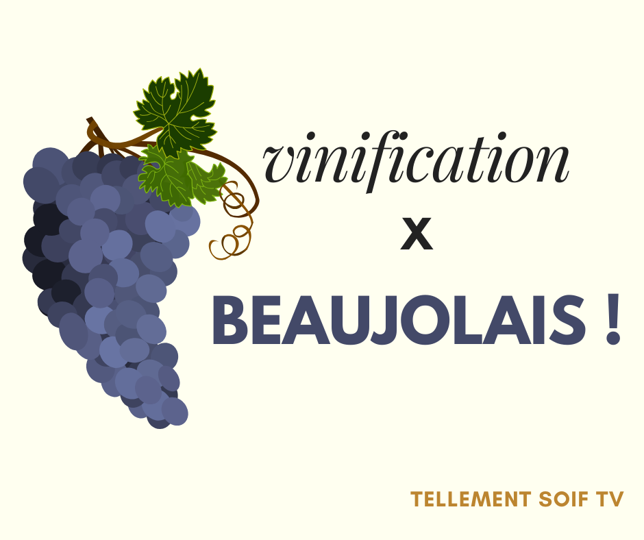 [COMPLET] 20170905_RENCONTRE_AG_PhilippeBardet_VinificationGamay.mp4.smil