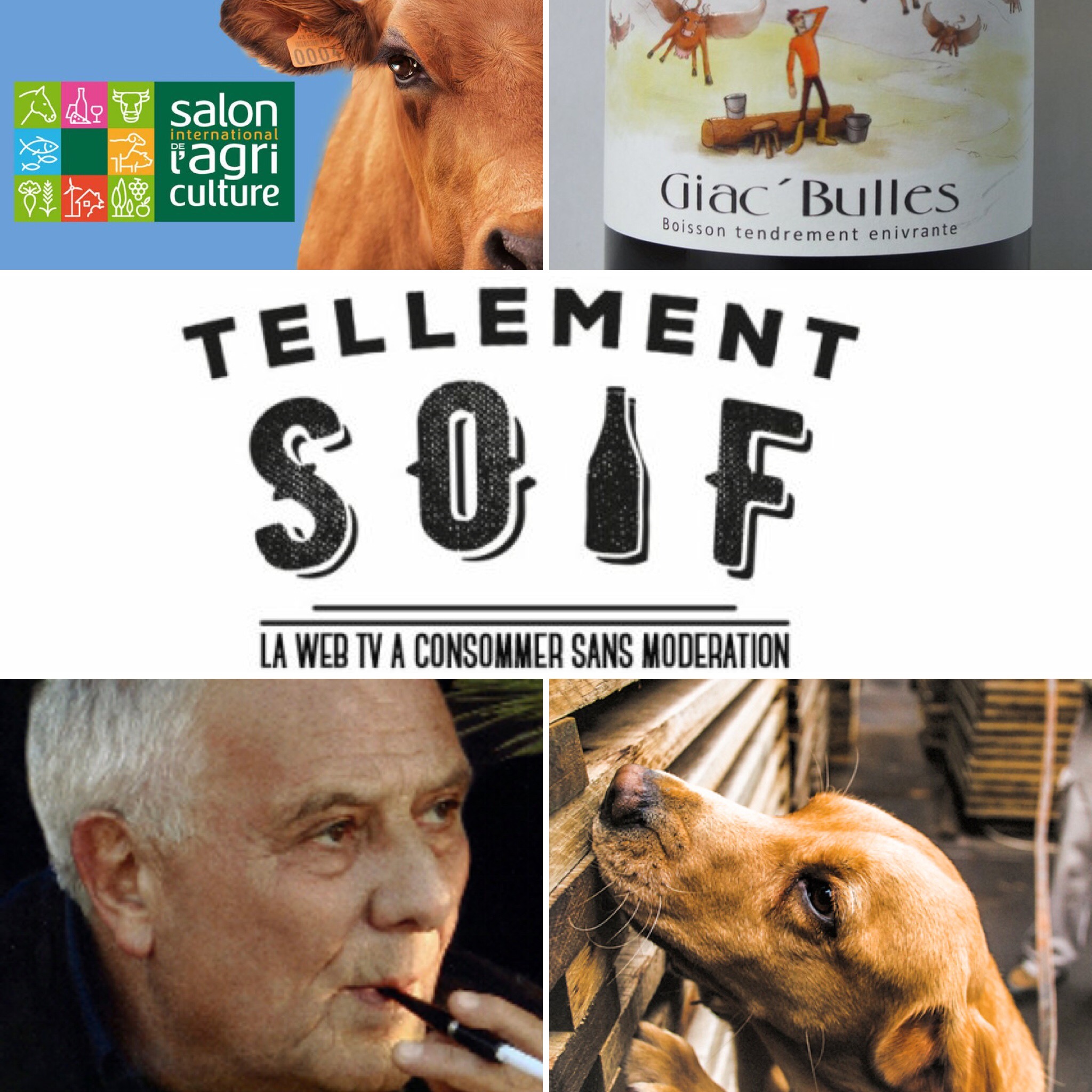 [COMPLET] 20190219_JOURNAL_AG_Semaine_180219_TOTAL_V2.mp4.smil