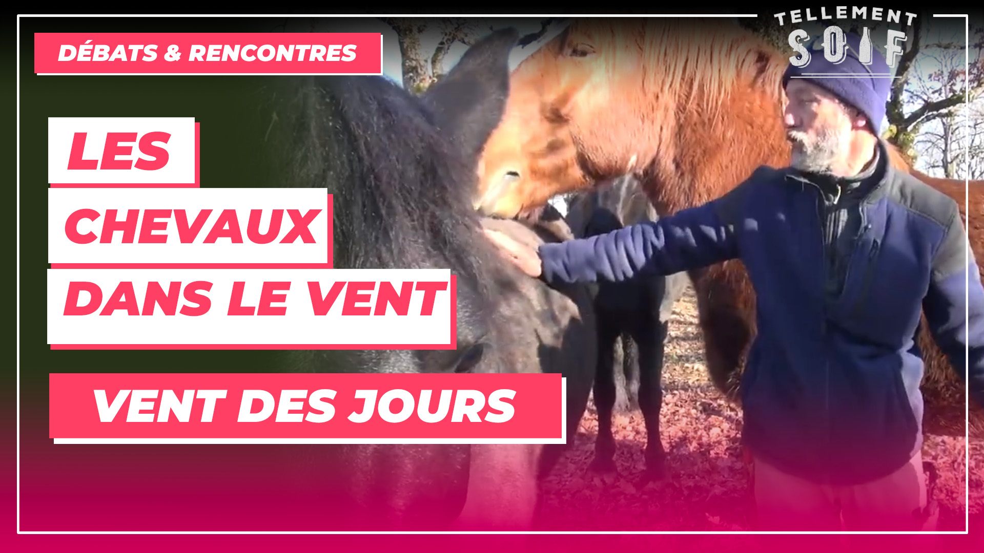[COMPLET] 20220114_RENCONTRE_AG_LaurentMarre_2_Chevaux.mp4.smil