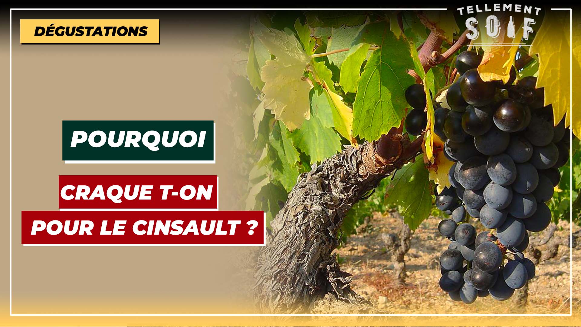 [COMPLET] 20220607_PMLG_TM_Cinsault.mp4.smil