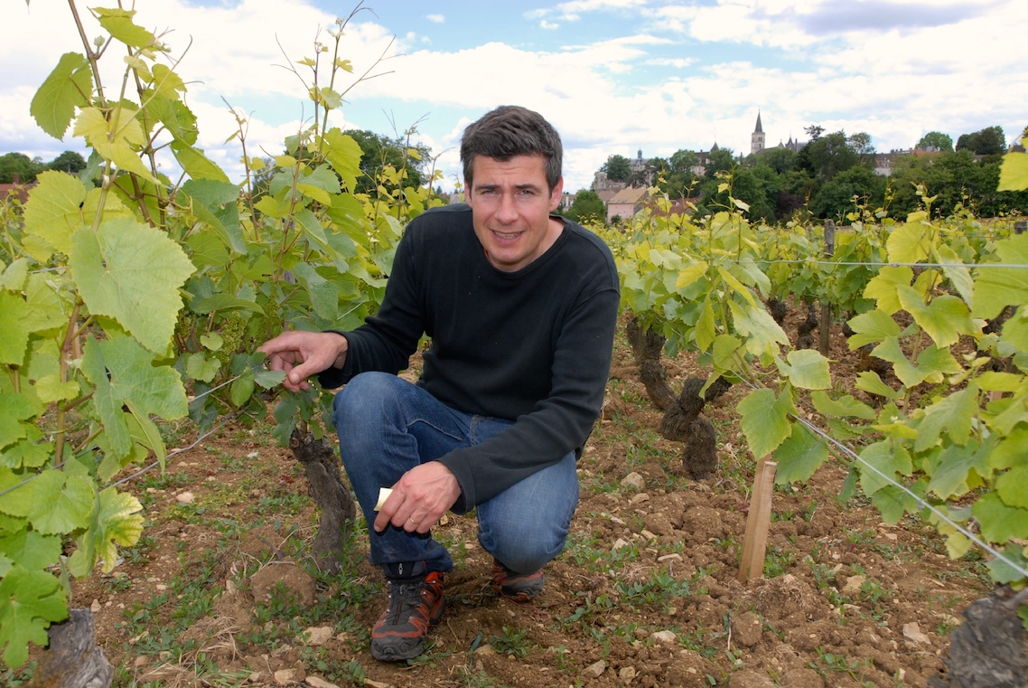 Pourquoi faut-il nourrir une vigne ?