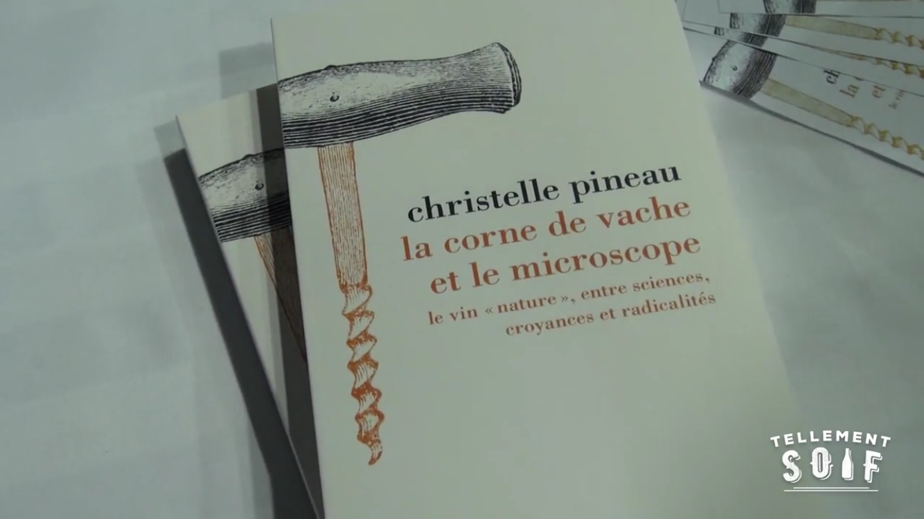 [COMPLET] 20190205_RENCONTRE_AG_ChristellePineau_V2.mp4.smil