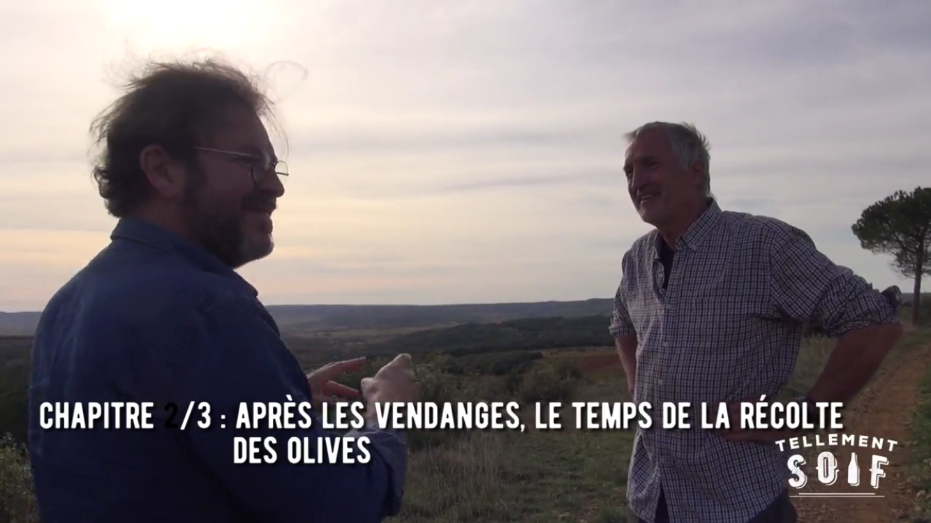 [TRAILER] 20201028_RENCONTRE_AG_LaRemejeanne_Oliviers.mp4.smil