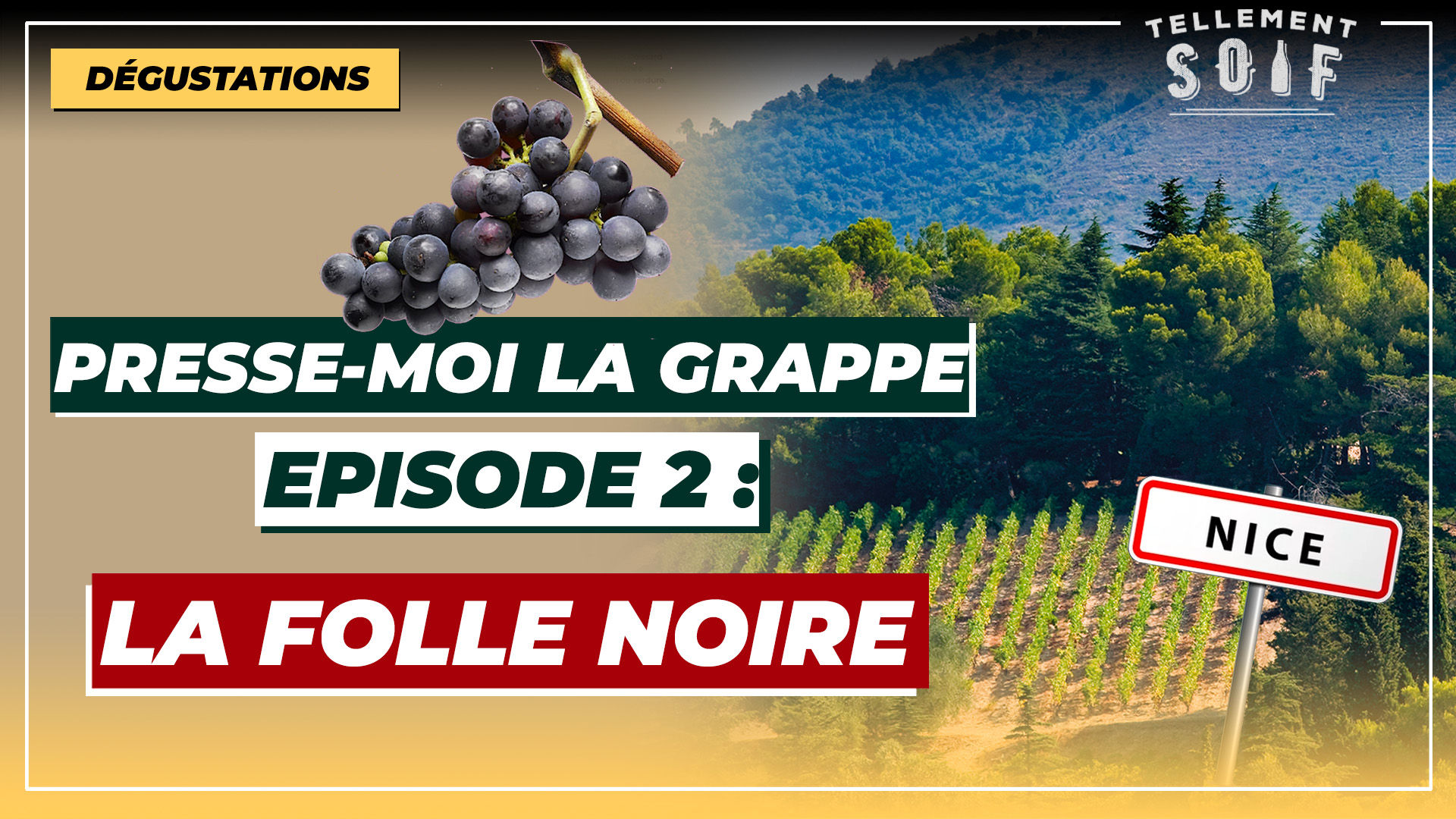 [COMPLET] 20220216_PMLG_TM_FolleNoire.mp4.smil