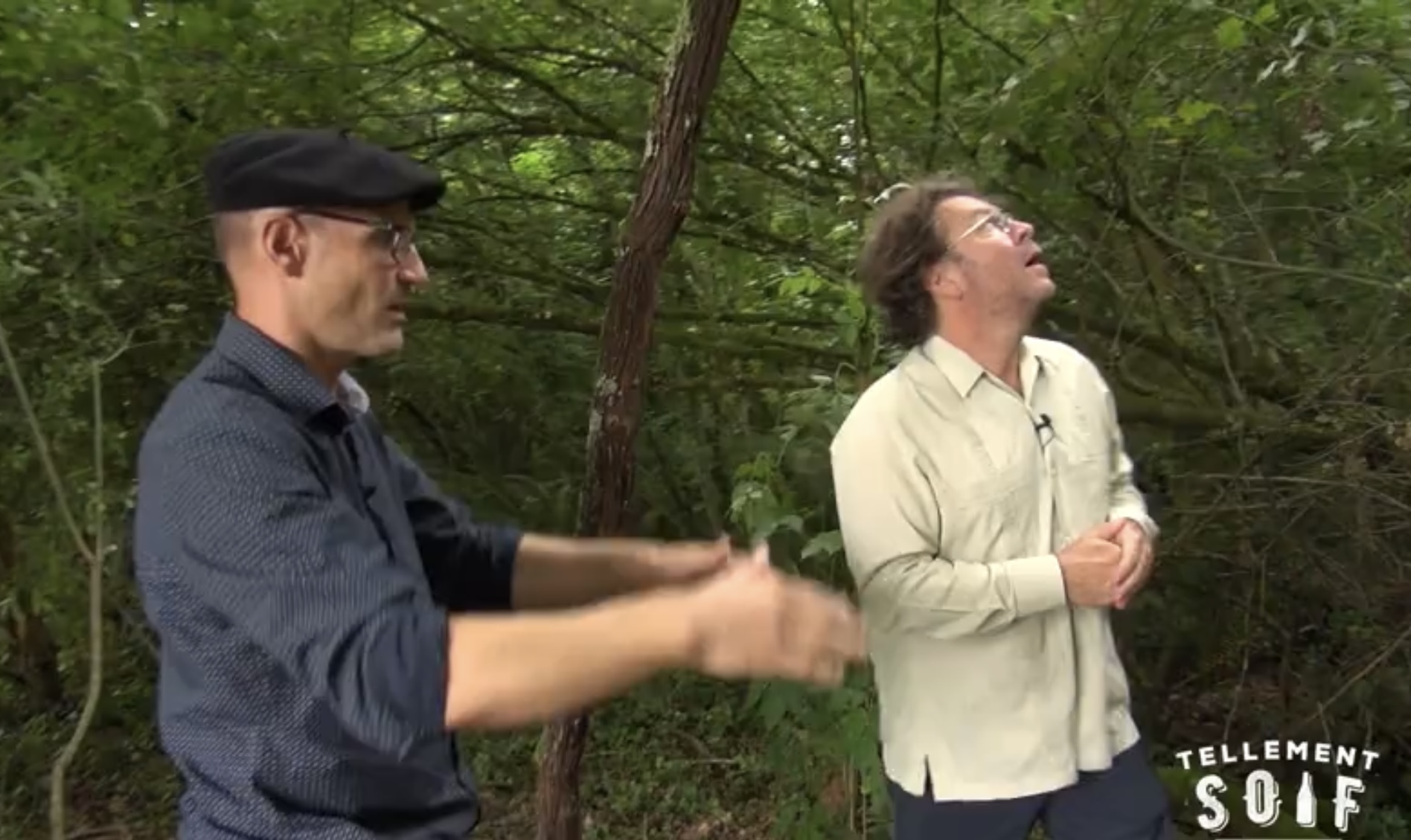 [TRAILER] 20220620_RENCONTRE_AG_OlivierBourdet_Pees_2_Lambrusque.mp4.smil