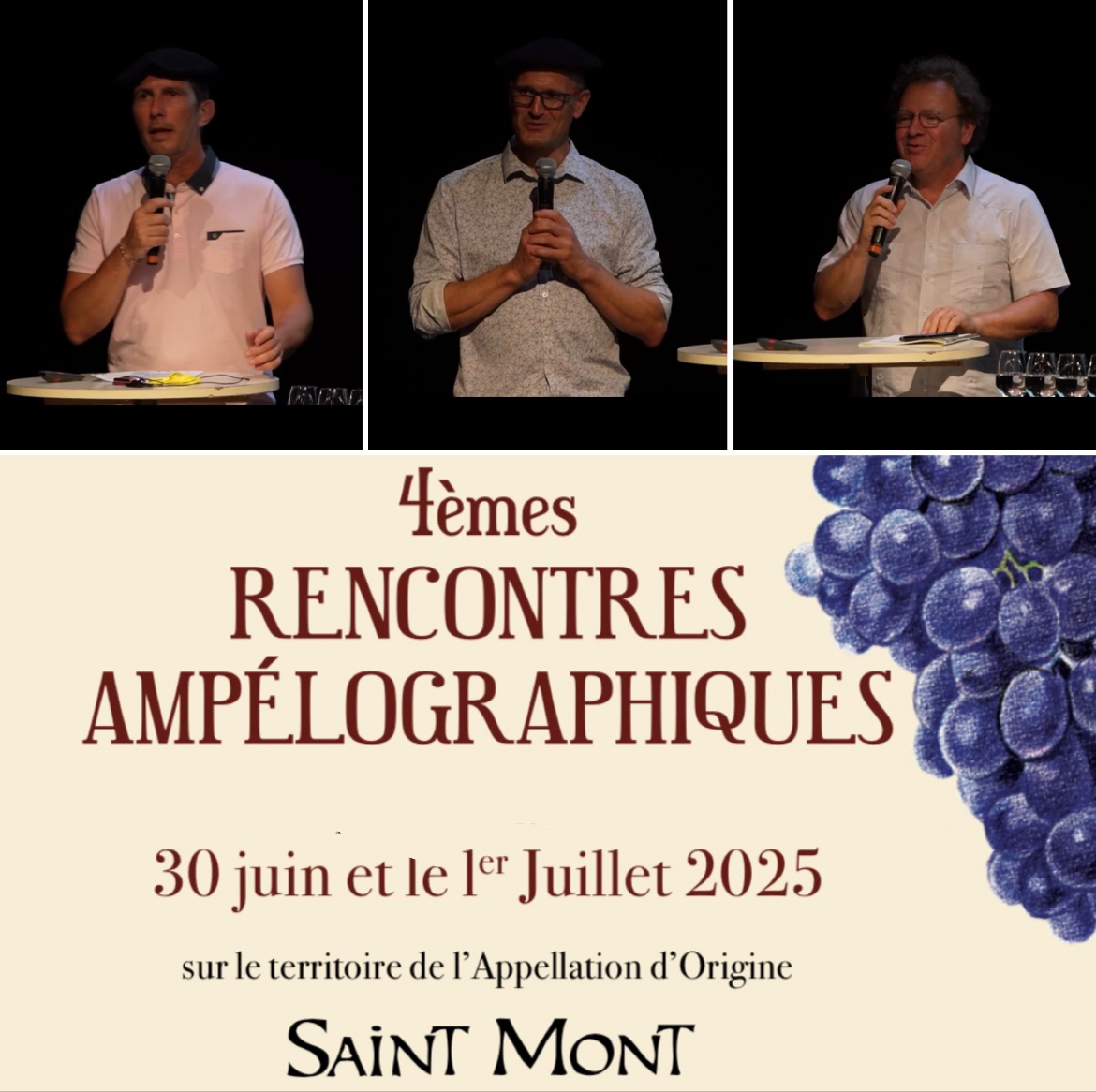 CAPTATION – Introduction aux 4èmes Rencontres ampélographiques de Saint-Mont