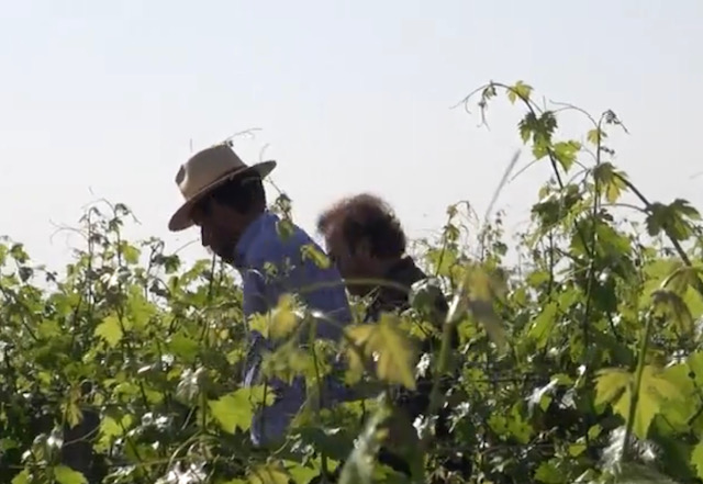 [COMPLET] 20230531_RENCONTRE_AG_GonzagueDeLambert_2_AuPointCulminant.mp4.smil