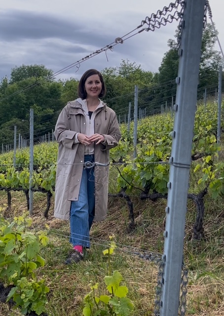 Beaujolais :  » Les vignes en coteaux sont porteuses d&rsquo;avenir »