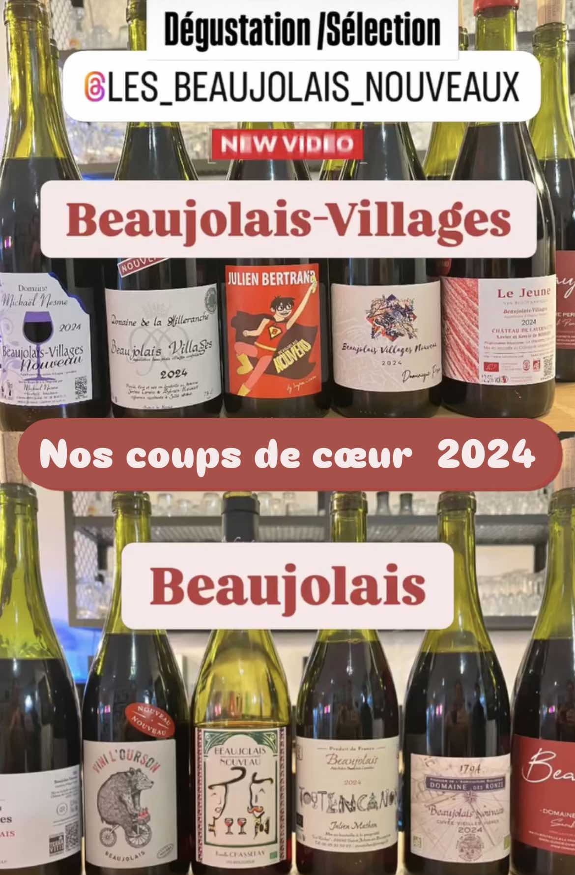 Beaujolais Nouveau : une grande dégustation et 11 coups de coeur