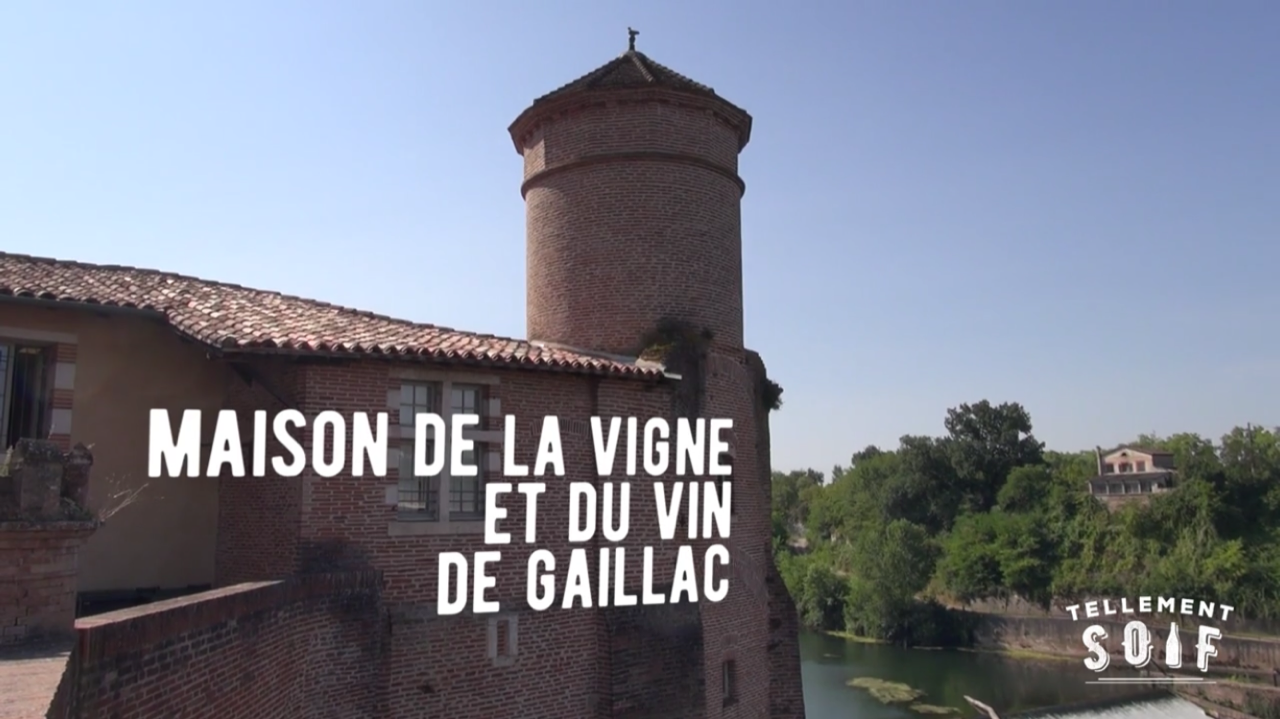 [TRAILER] 20210825_RENCONTRE_MaisonDesVinsGaillac.mp4.smil