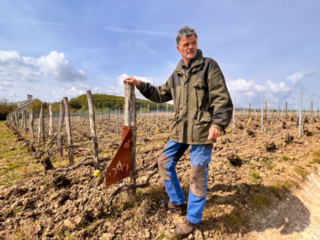 Marc Augustin, la passion du vivant
