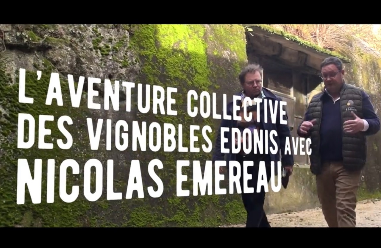 Vignobles Edonis : renaissance du premier collectif ligérien