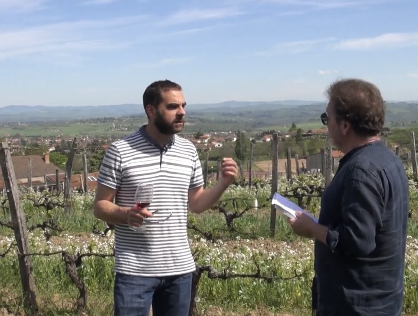 Gamay Saint-Romain, originalité et richesse de la Côte Roannaise