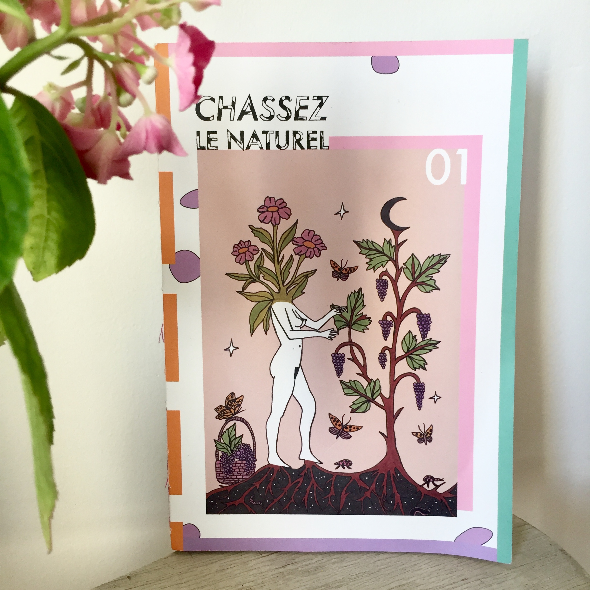 [COMPLET] 20190710_CONSEILS_AG_ChassezLeNaturel.mp4.smil