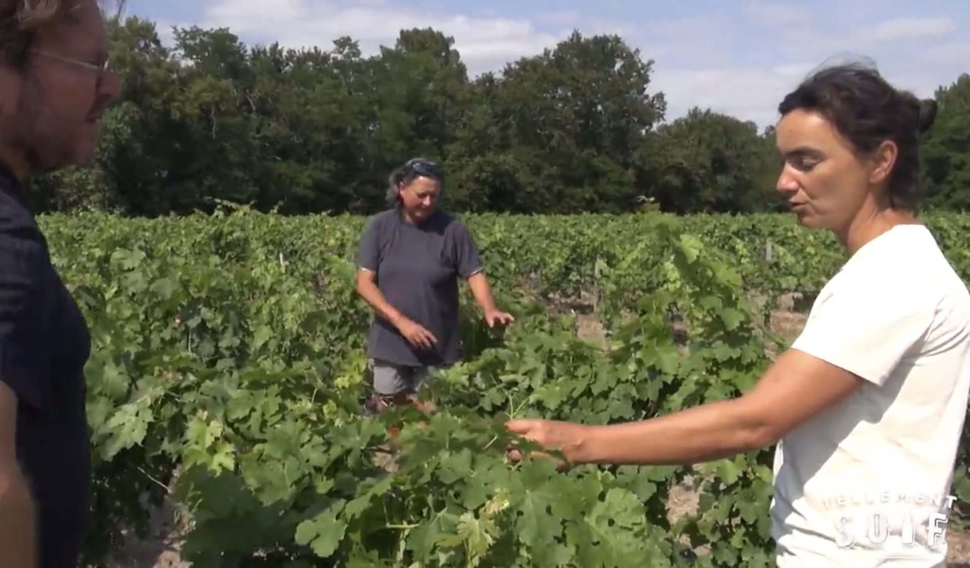 [COMPLET] 20190709_REPORTAGE_AG_Closeries_2_LesVignes.mp4.smil