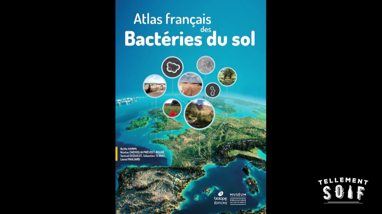 [COMPLET] 20211217_EDITO_ON_LivreAtlasBacteries.mp4.smil