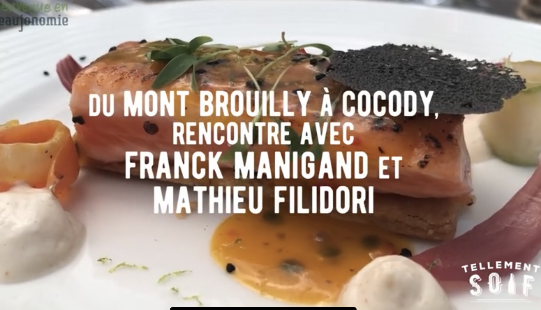 [COMPLET] 20220617_RENCONTRE_Beaujonomie_FranckManigand_MathieuFilidori_V2.mp4.smil