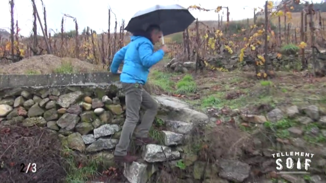 [COMPLET] 20181130_REPORTAGE_AG_Cornas_AlbericMazoyer_2_V2.mp4.smil