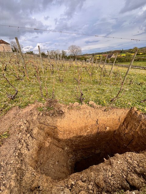 Saint Pourçain : vieux cépages, vieilles pierres et argilo-calcaire
