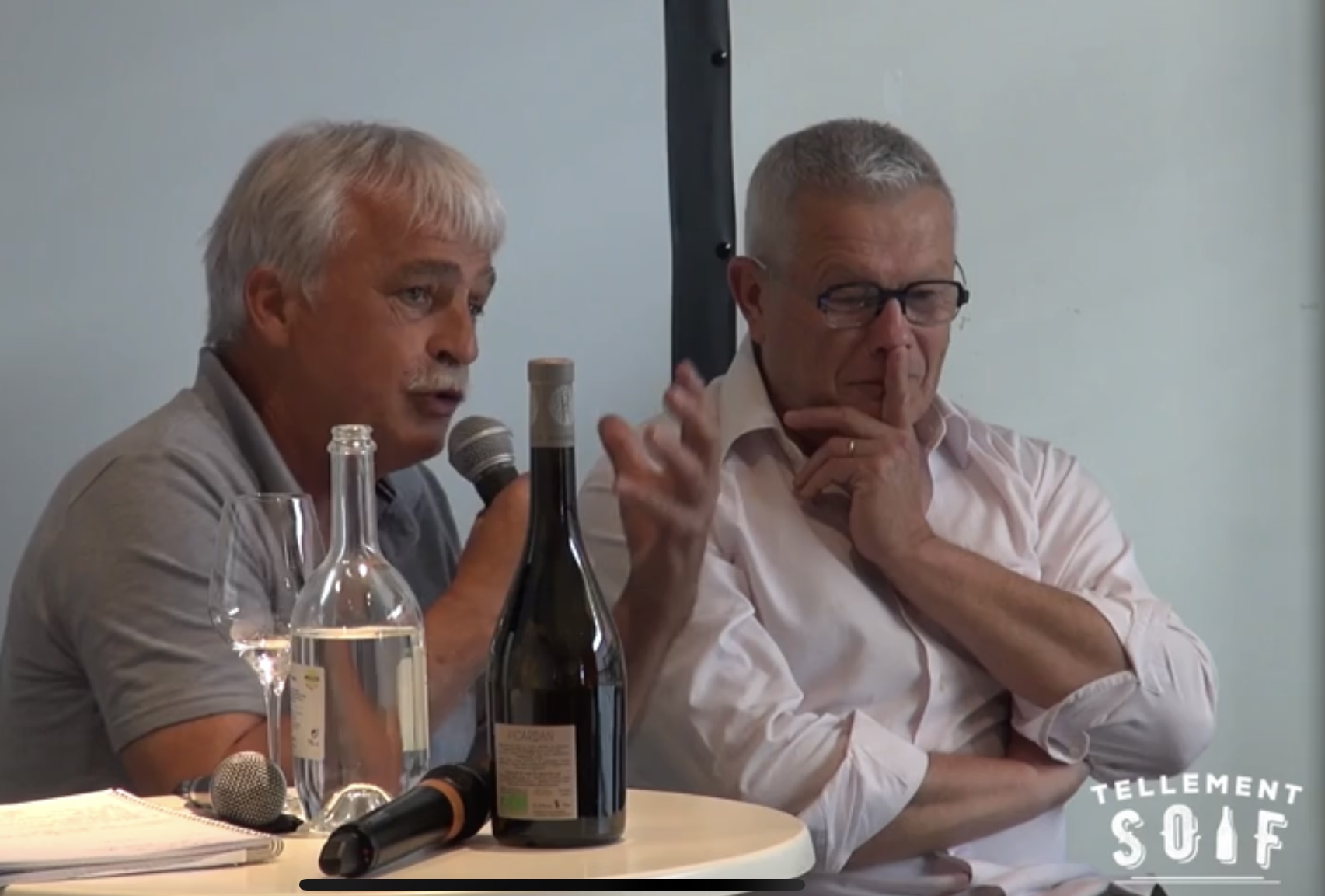 L&rsquo;avenir des cépages patrimoniaux d&rsquo;Occitanie, parole aux experts