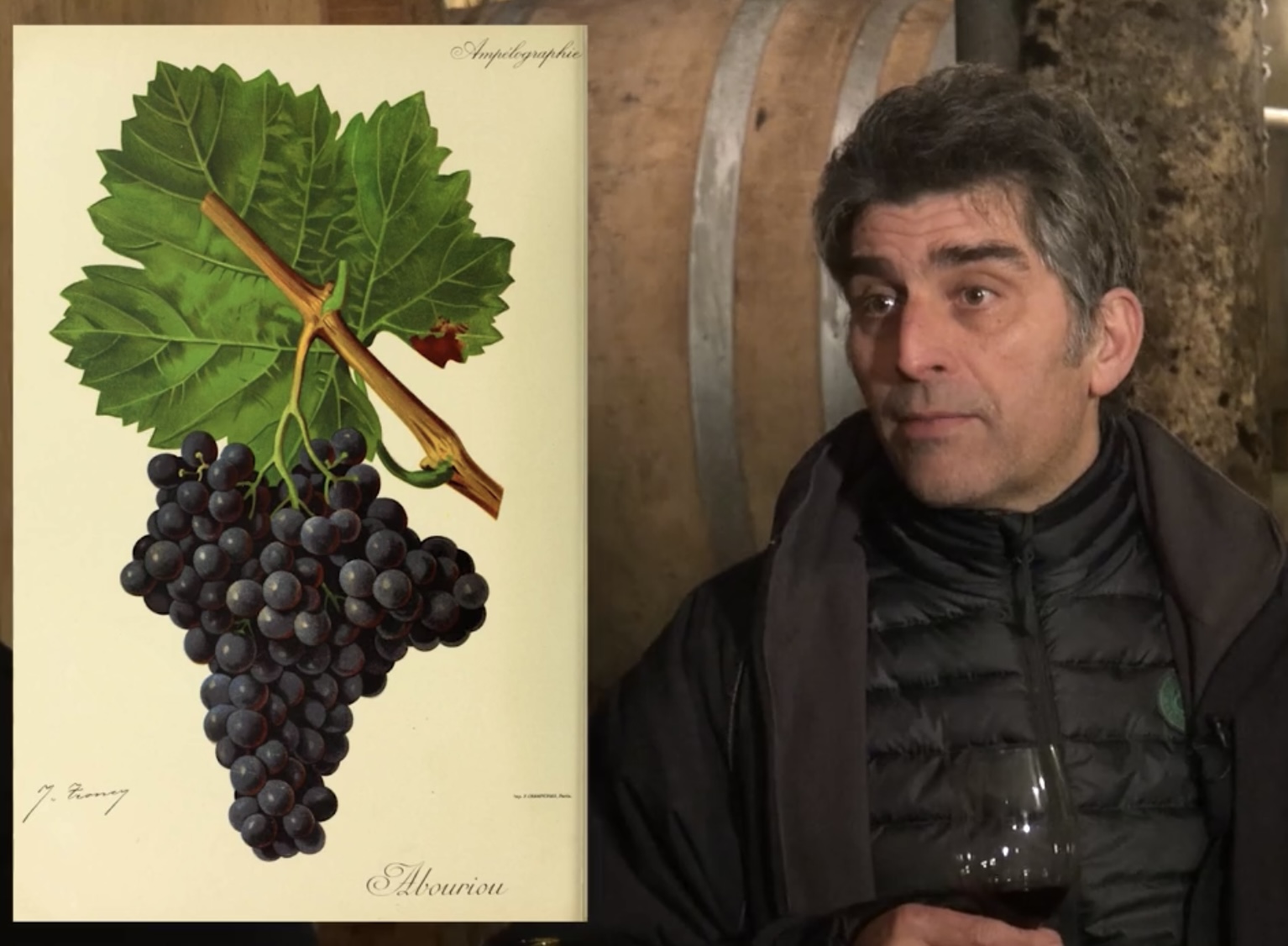 Le secret du fruité de l&rsquo;Abouriou