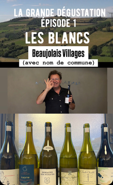 Beaujolais Villages blancs : nos six coups de coeur