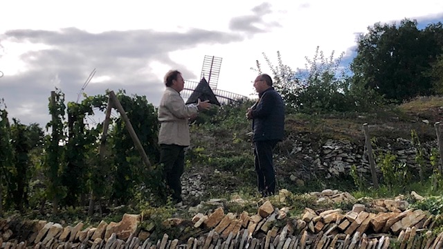 Philippe le Hardi : la révolution bio du Crédit Agricole en Bourgogne