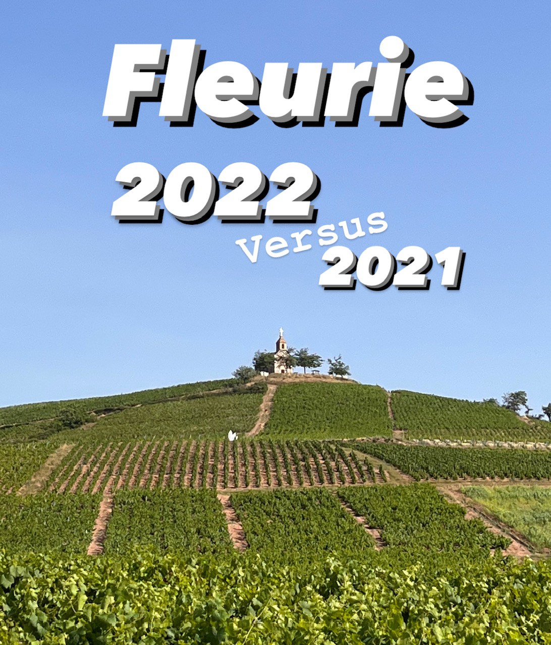 Le cru Fleurie et le match des derniers millésimes