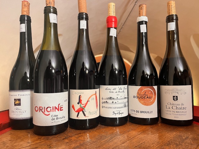 Vignobles héroïques : le vrai visage des côte de Brouilly