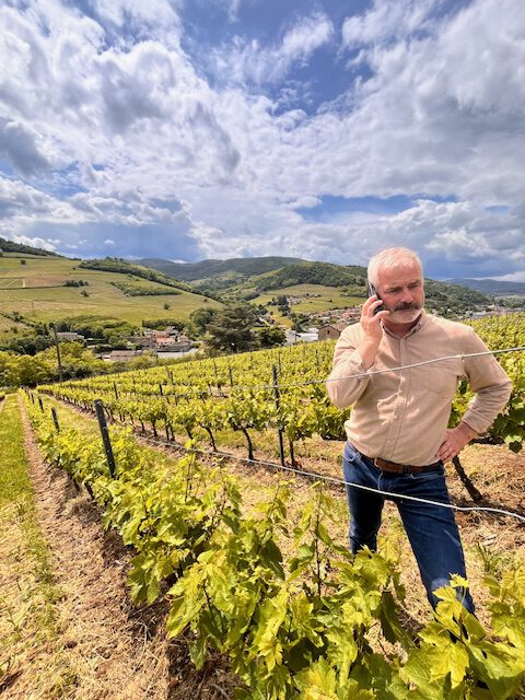 Appel pour sauver les vignes en forte pente du Beaujolais
