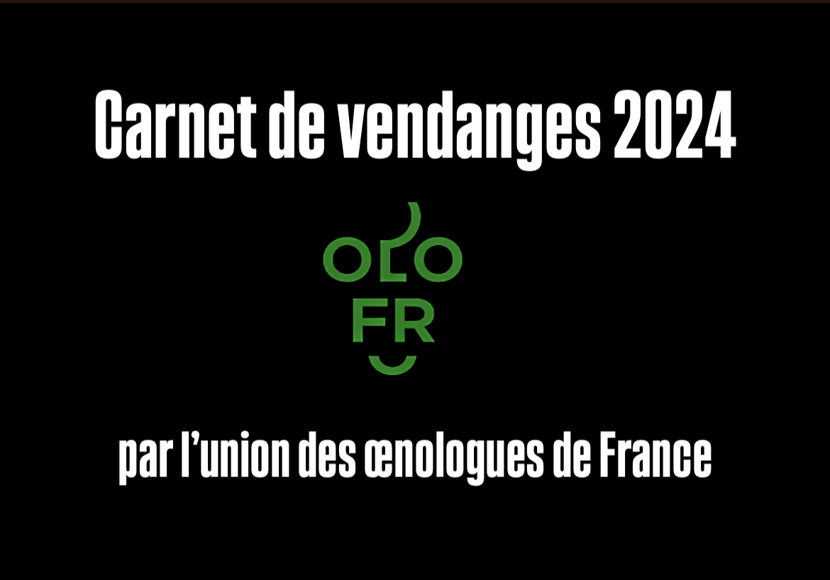 Carnet de vendanges 2024 par l’Union des Œnologues de France
