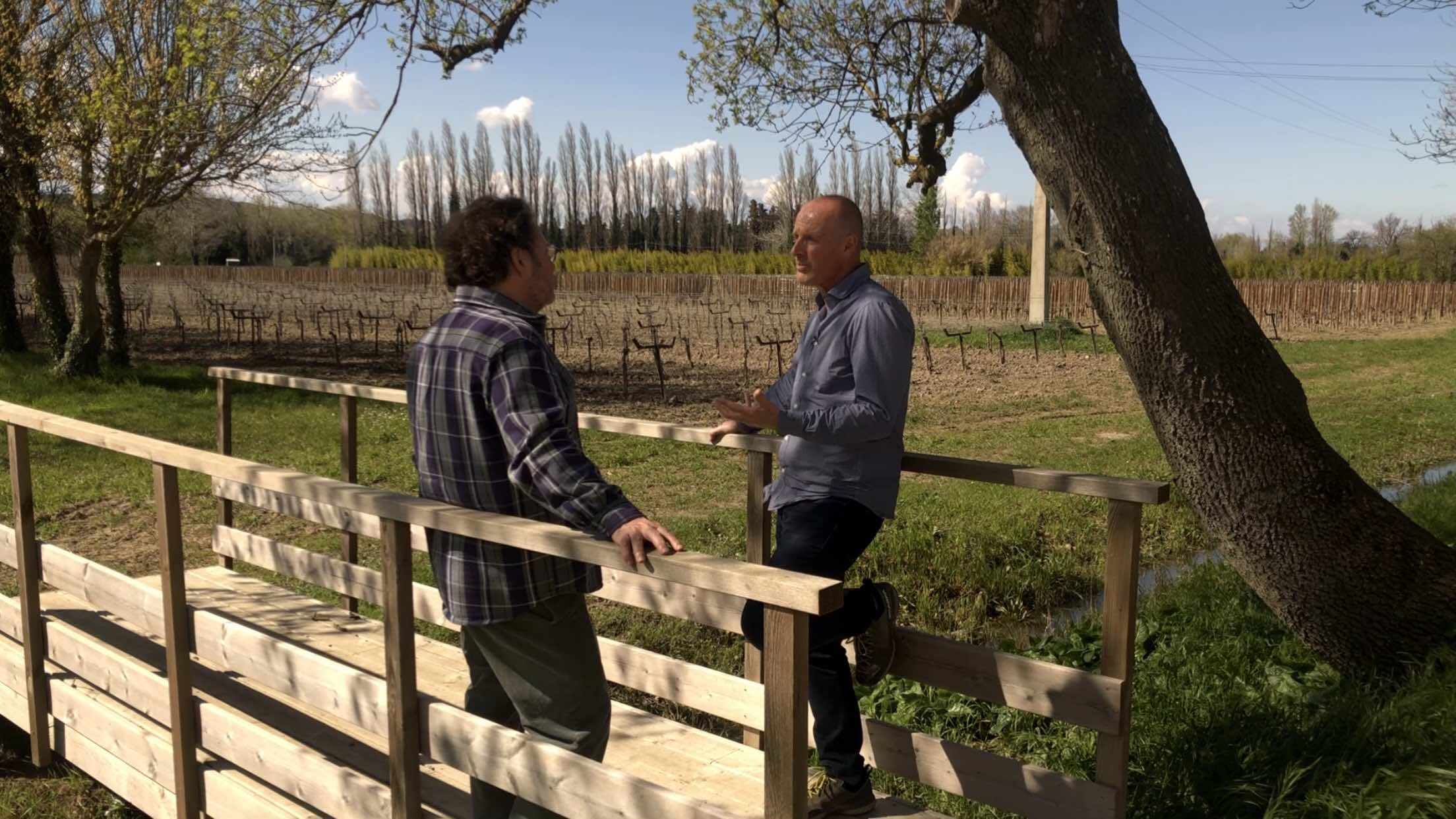 Plants de vigne : le coût de la qualité (2/3)