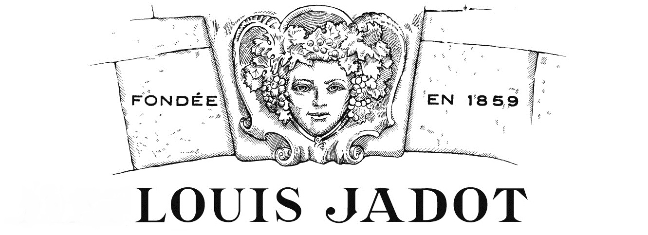 La concentration des vignobles haut de gamme sert-elle l&rsquo;amateur ?