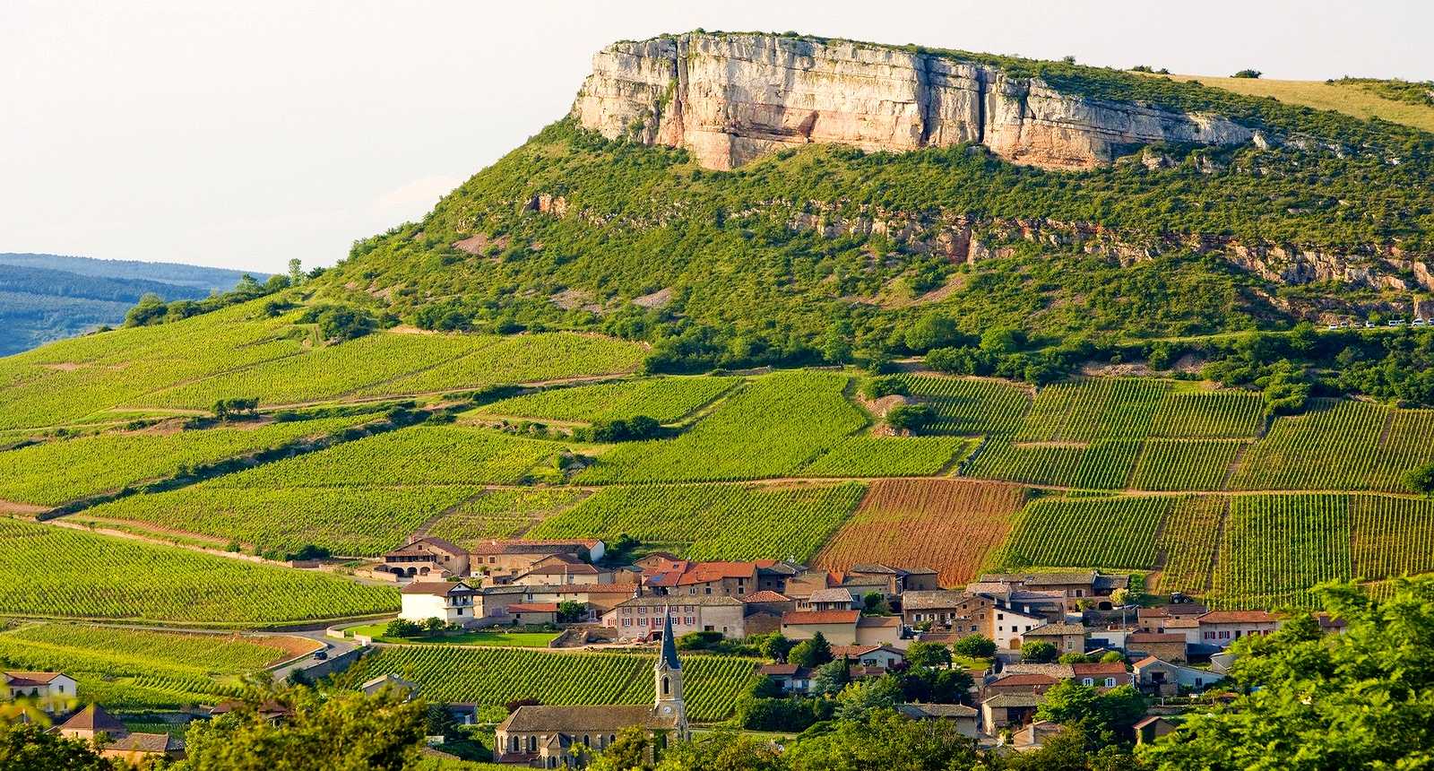 Classement de la Bourgogne sud : peut-on ignorer le réchauffement climatique ?