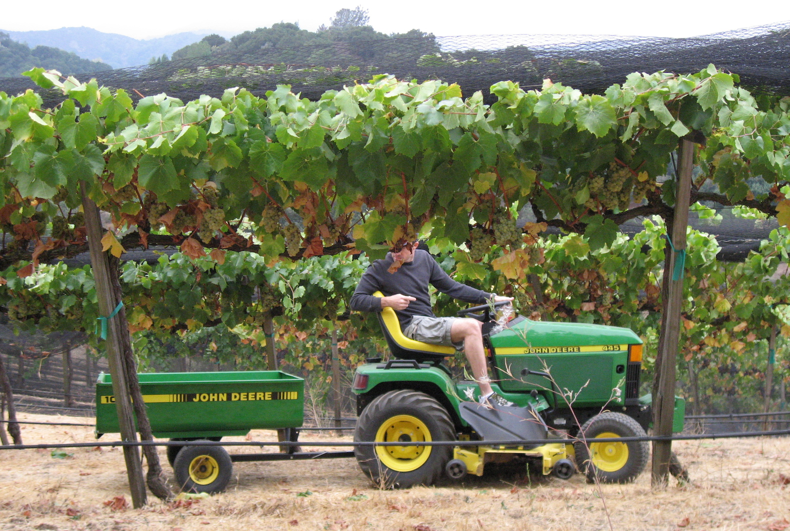 Se reconvertir dans le vin, le dernier rêve bobo